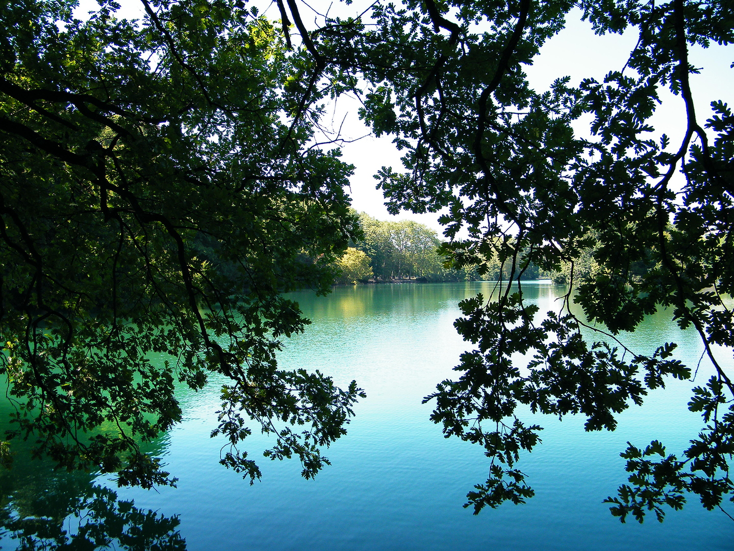Lac, Parc de la Tête d'Or - DSCF6977.JPG