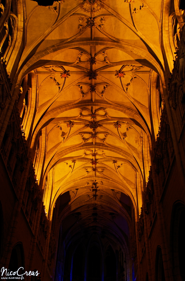 Église Saint-Nizier de Lyon - _DSC0056_DxO (2).jpg
