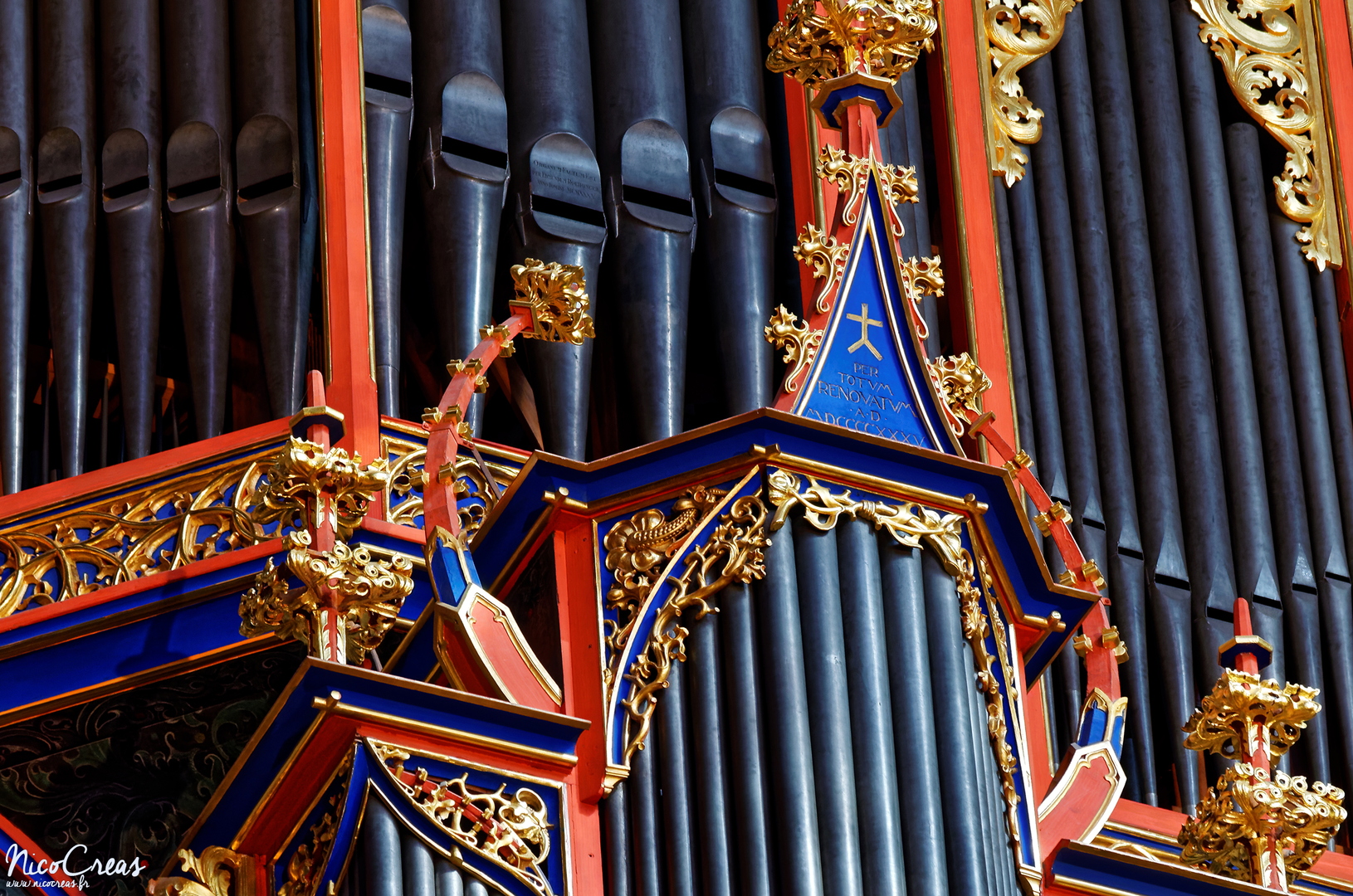 Grand orgue en nid d'hirondelle - DSC_1308_DxO copie.jpg