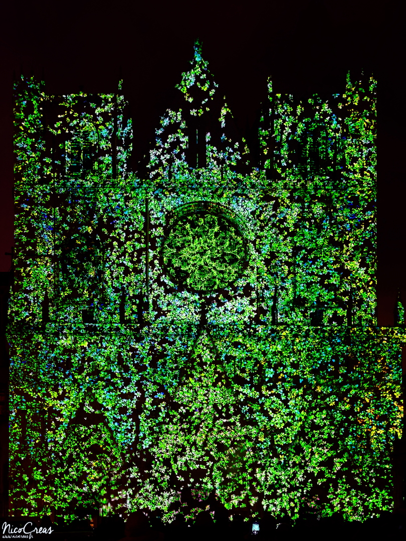 Cathédrale Saint-Jean, Lyon 5

---

Ocubo propose avec Pigments de Lumière  la création de tableaux abstraits grâce à la diffusion dans l’eau, de pigments, d’encres et de fleurs. Ces derniers, précipités dans le liquide, produisent des effets visuels inattendus. Ralentis, effets kaléidoscopiques, fleurs psychédéliques, la projection de ces tableaux sur la façade de la cathédrale Saint-Jean offre un spectacle singulier, auxquels des jeux de laser ajoutent du relief. Valorisant textures, formes et couleurs, cette œuvre contemplative rend aussi hommage à l’histoire de la rose de Lyon. Un projet délicat et immersif alliant performance artisanale et prouesses techniques, jouant avec des images réelles hors échelle de format et de temps. Méfiez-vous du pouvoir des fleurs !

---


Les artistes : OCUBO

Partenaires : Enedis ; Citéos ; Colliers International ; Ceetrus ; IEFT ; Delta Light ; Kaufman & Broad ; Miniworld ; Vinci Immobilier ; VLS ; GL Events
Production : OCUBO