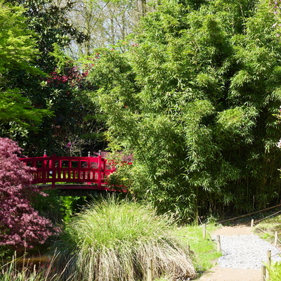 Parc botanique de haute Bretagne - Jardin du soleil levant