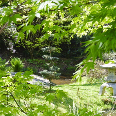 Parc botanique de haute Bretagne - Jardin du soleil levant