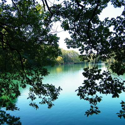 Lac, Parc de la Tête d'Or