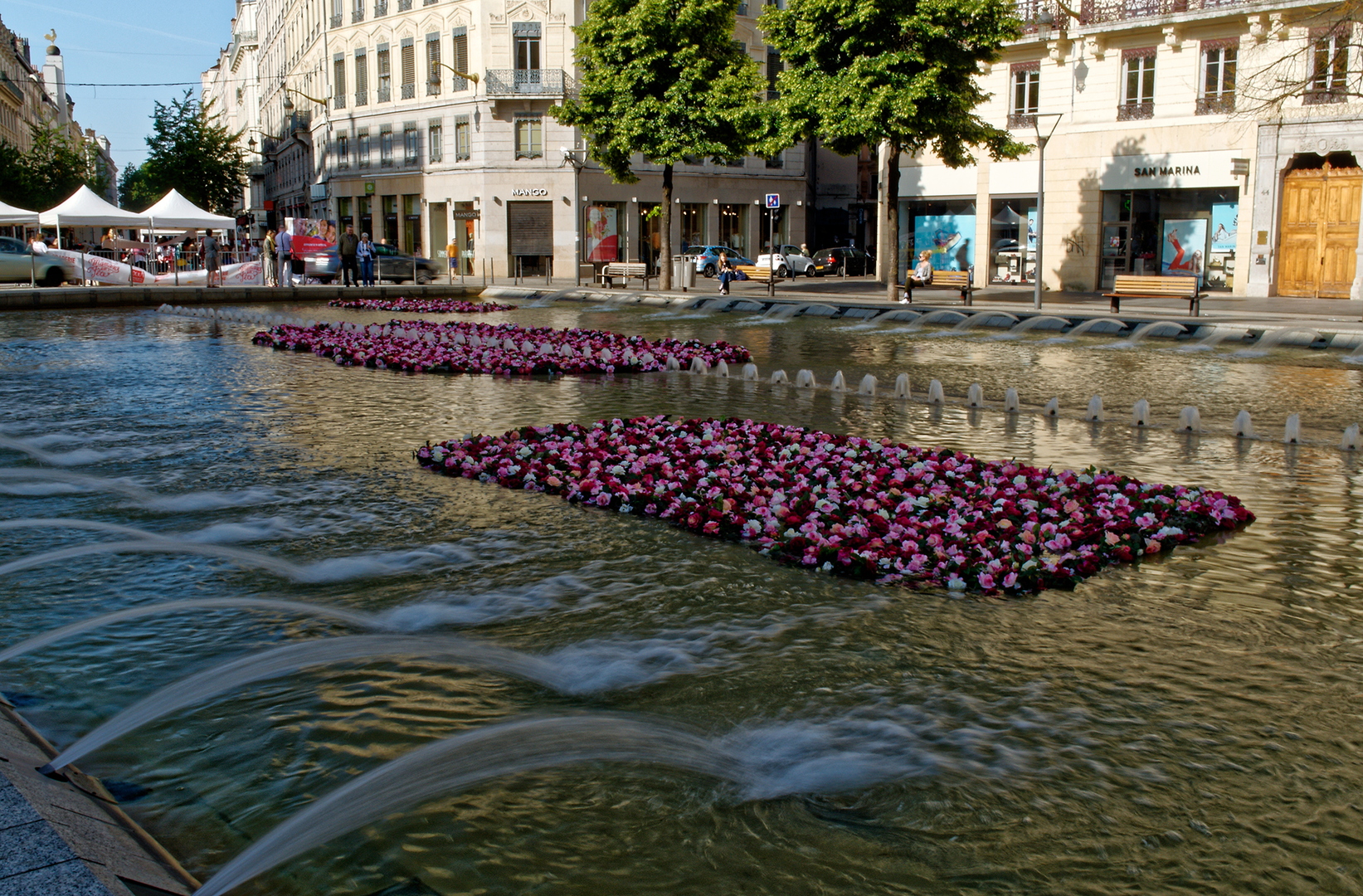 Au cœur de la place de la République flottaient des milliers de roses (enfin... d'après le programme. J'avoue ne pas les avoir compté. ;)). Cette installation a été réalisée avec la participation de la direction des espaces verts de la ville de Lyon.