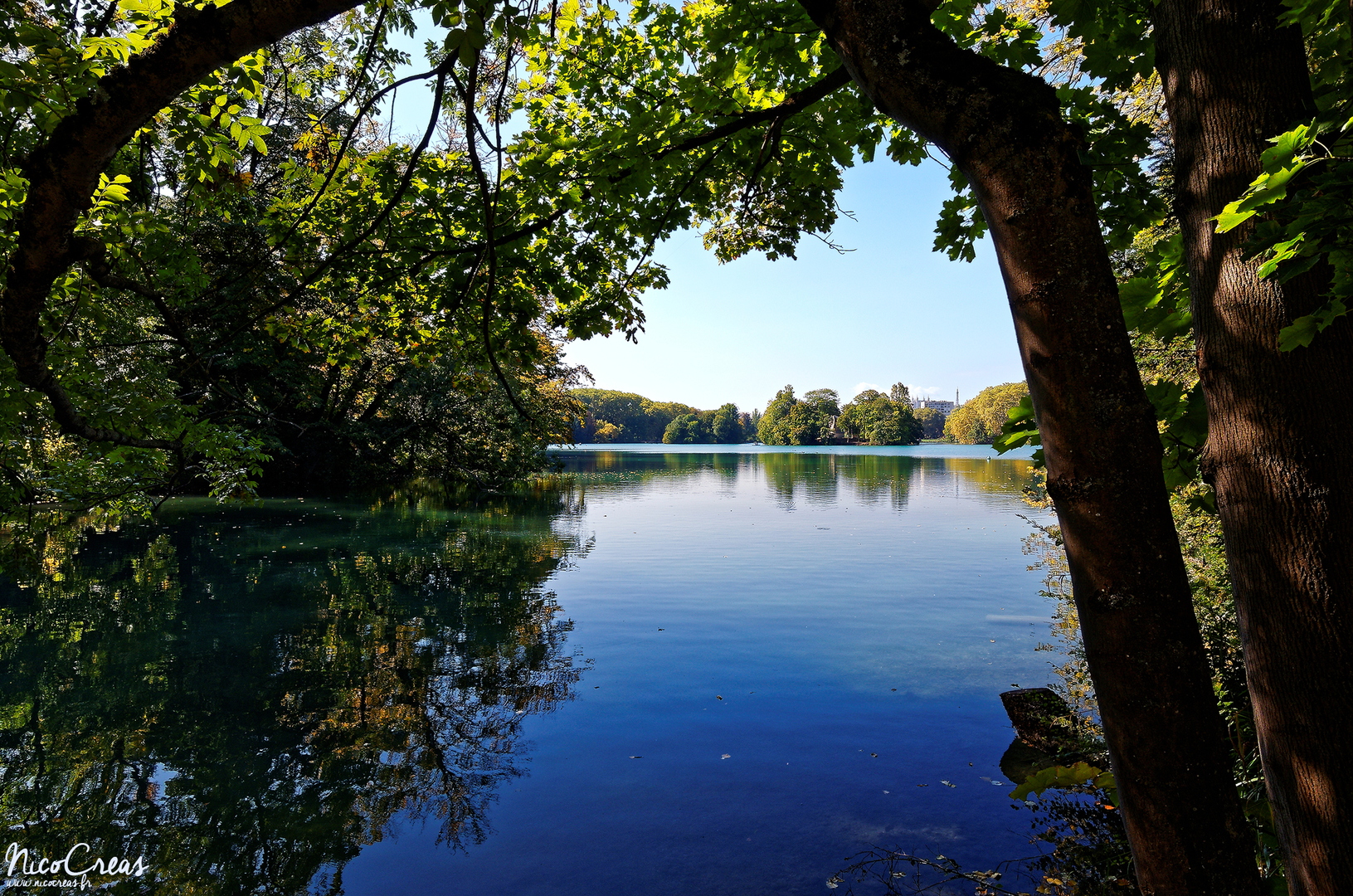 Lac, Parc de la Tête d'Or - DSC_5678_DxO copie.jpg