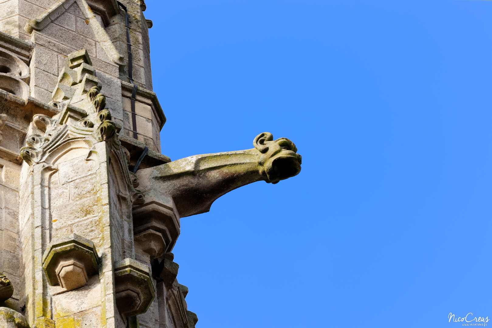 Basilique Notre-Dame du Roncier - Gargouille - _DSC3022_DxO copie.jpg