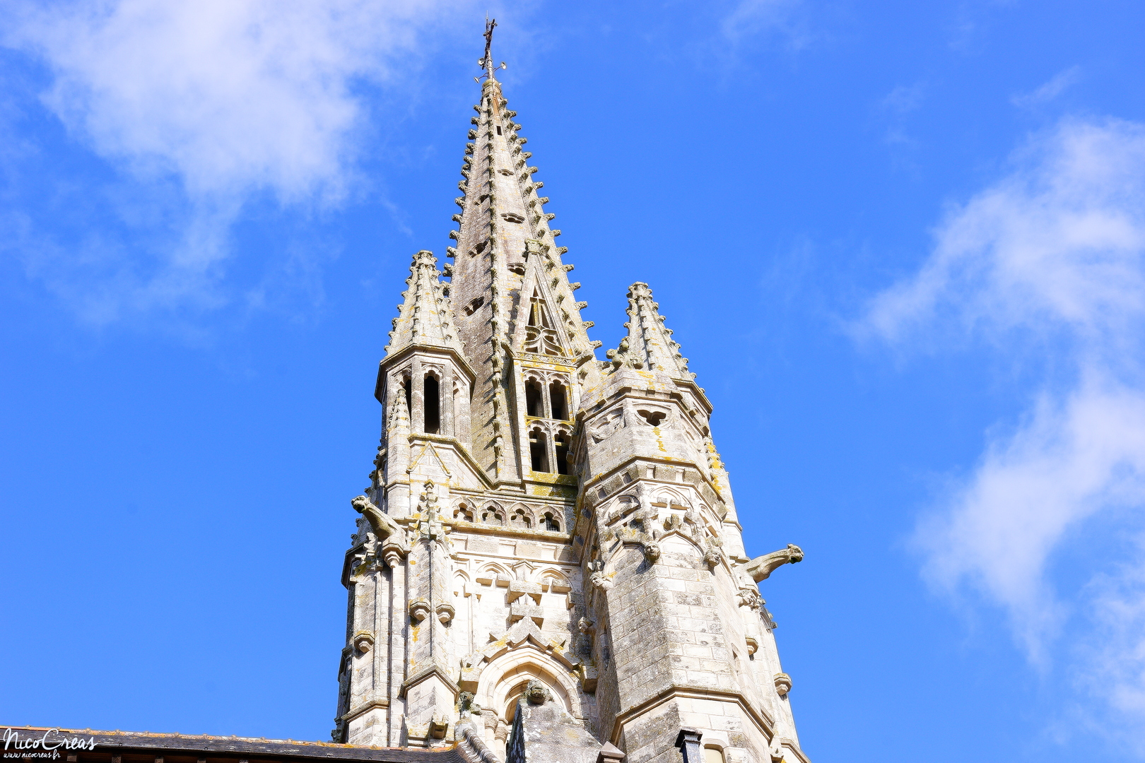 Basilique Notre-Dame du Roncier - Clocher - _DSC3041_DxO copie.jpg