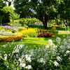 Parc du Thabor - Jardin botanique et roseraie