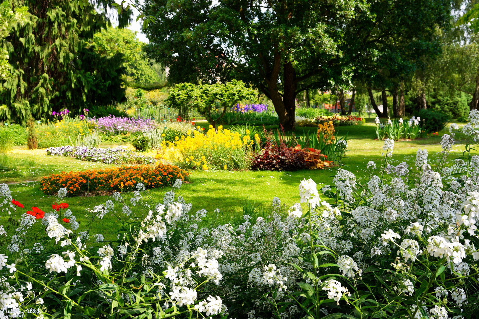 Parc du Thabor - Jardin botanique et roseraie - _DSC7841_DxO copie.jpg