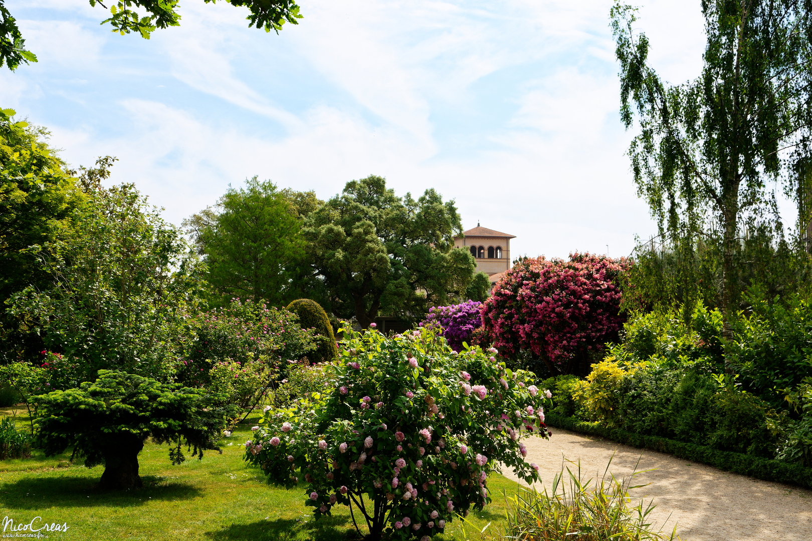 Parc du Thabor - Jardin botanique et roseraie - _DSC7934_DxO-1 copie.jpg