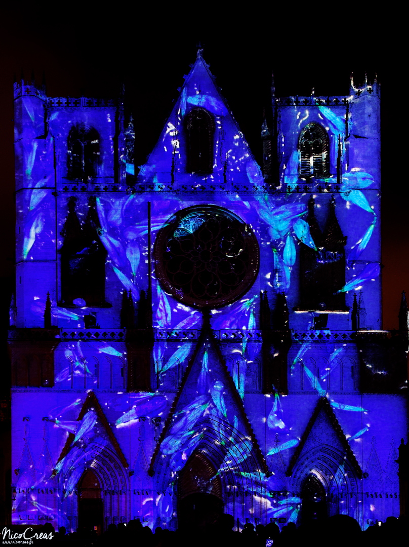 Cathédrale Saint-Jean, Lyon 5

---

Ocubo propose avec Pigments de Lumière  la création de tableaux abstraits grâce à la diffusion dans l’eau, de pigments, d’encres et de fleurs. Ces derniers, précipités dans le liquide, produisent des effets visuels inattendus. Ralentis, effets kaléidoscopiques, fleurs psychédéliques, la projection de ces tableaux sur la façade de la cathédrale Saint-Jean offre un spectacle singulier, auxquels des jeux de laser ajoutent du relief. Valorisant textures, formes et couleurs, cette œuvre contemplative rend aussi hommage à l’histoire de la rose de Lyon. Un projet délicat et immersif alliant performance artisanale et prouesses techniques, jouant avec des images réelles hors échelle de format et de temps. Méfiez-vous du pouvoir des fleurs !

---


Les artistes : OCUBO

Partenaires : Enedis ; Citéos ; Colliers International ; Ceetrus ; IEFT ; Delta Light ; Kaufman & Broad ; Miniworld ; Vinci Immobilier ; VLS ; GL Events
Production : OCUBO